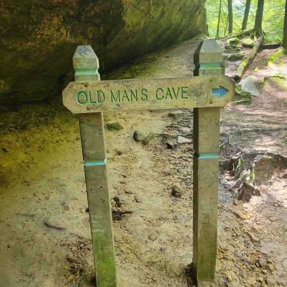 Meet your Posher, Jerry - Picture 5 of 17